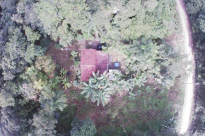 Casa simples na Mata Atlântica